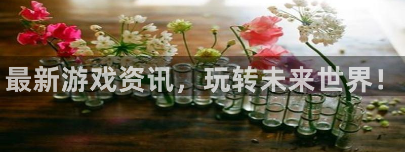 多彩娱乐测速：最新游戏资讯，玩转未来世界！