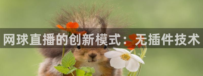 亚冠杯直播360：网球直播的创新模式：无插件技术