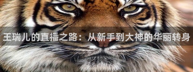 360体育直播在线直播观看：王瑞儿的直播之路：从新手到大神的华丽转身