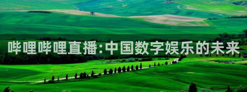 雨燕360体育免费观看：哔哩哔哩直播:中国数字娱乐的未来